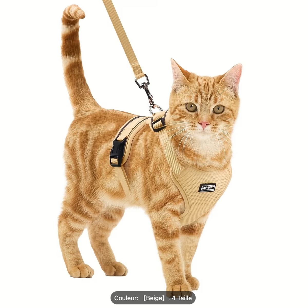 Harnais beige porté par un chat roux