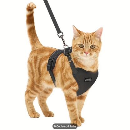 Harnais noir porté par un chat roux