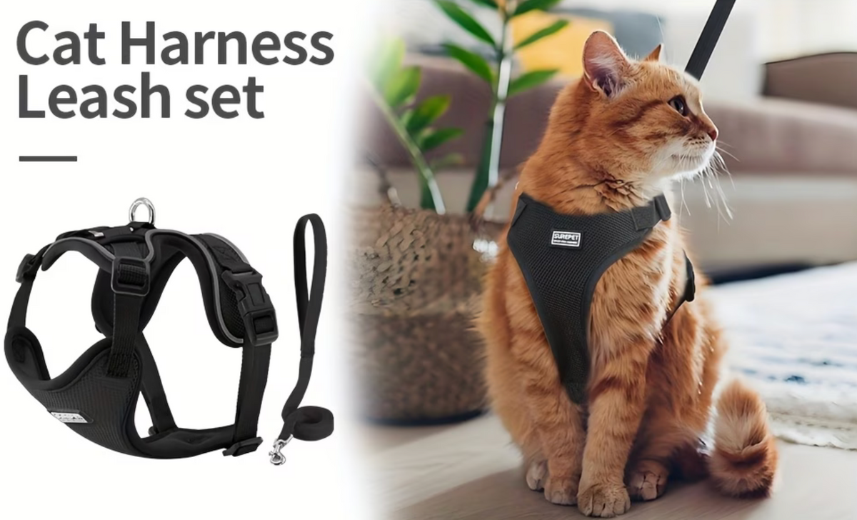 Harnais pour chat – Pour ses petites aventures
