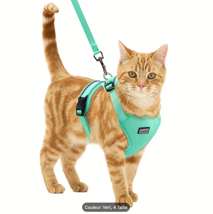 Harnais rose porté par un chat roux