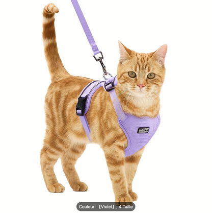 Harnais vert porté par un chat roux
