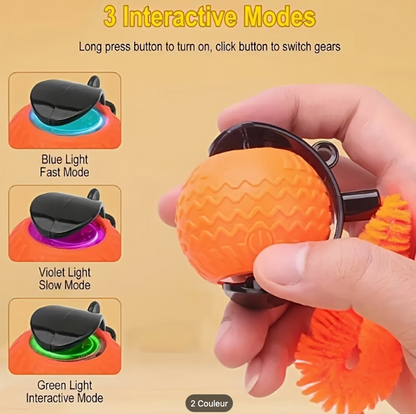 Commande de la balle interactive pour chat