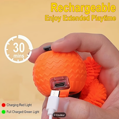 Recharge USB-C de la balle interactive pour chat